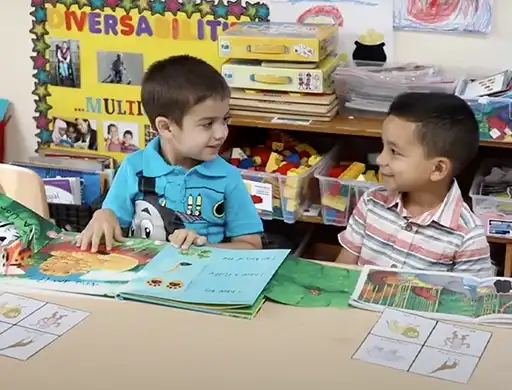 Video Image
